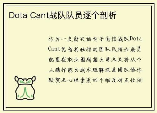 Dota Cant战队队员逐个剖析