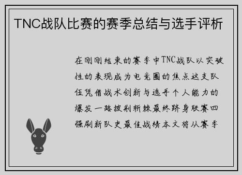 TNC战队比赛的赛季总结与选手评析